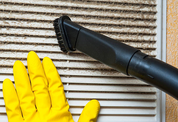 Air Duct Mold Removal in LA